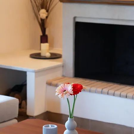 Vivi's House דירה *